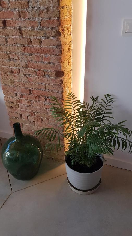 Apartamento Loft Mariola - En El Centro Histórico *